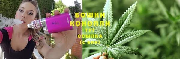 дмт Касимов