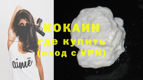 шишки Карпинск