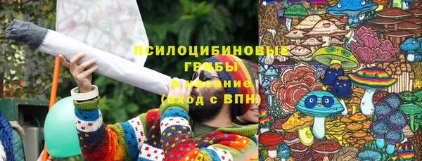 дмт Касимов