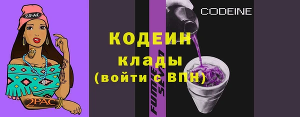 шишки Карпинск
