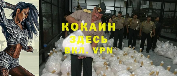 дмт Касимов