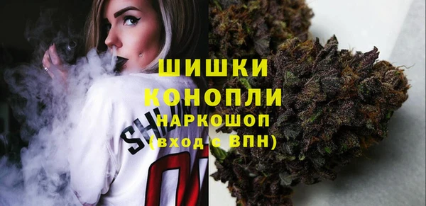 дмт Касимов