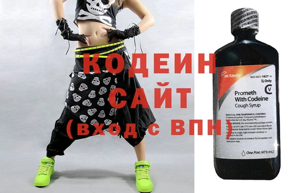 шишки Карпинск
