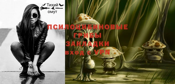 шишки Карпинск