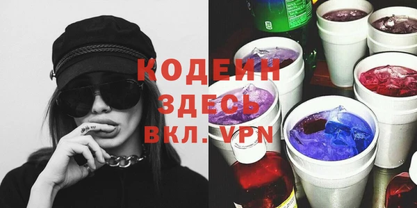 шишки Карпинск