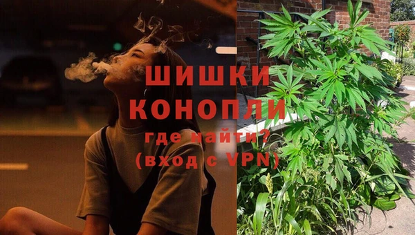 дмт Касимов