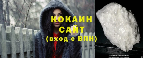дмт Касимов