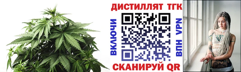 ТГК концентрат Сегежа