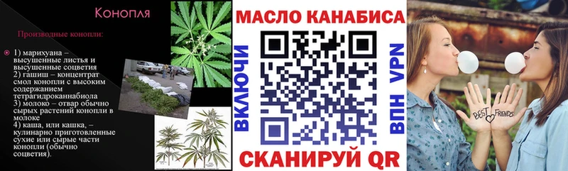 Купить закладки  Сегежа  ТГК жижа 