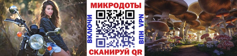 Псилоцибиновые грибы MAGIC MUSHROOMS  Купить где  Сегежа 