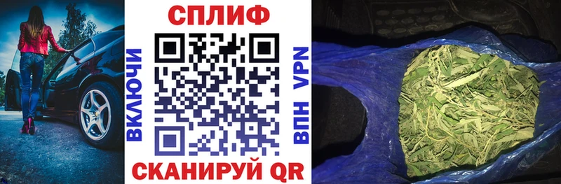 Конопля тримм  Купить закладки  Сегежа 